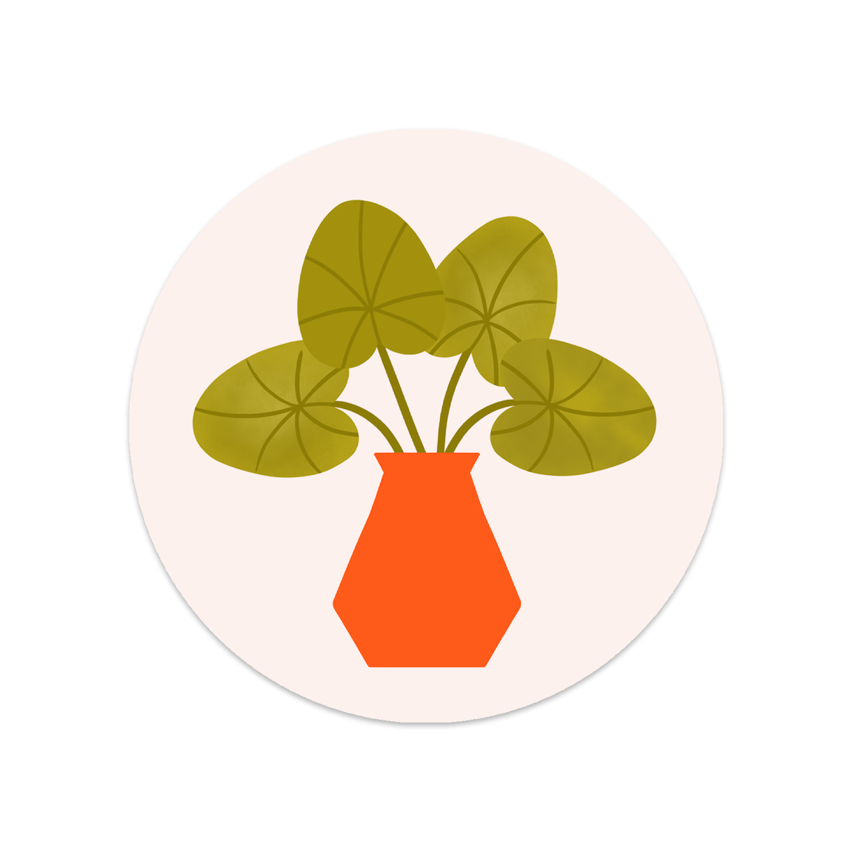 Round sticker plant