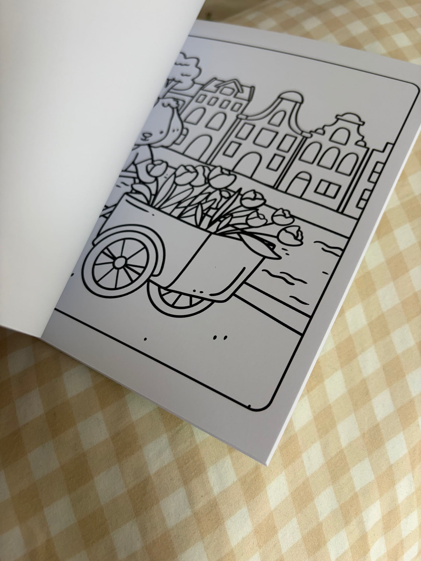 PRE-ORDER kleurboek B-GRADE* gratis verzending NL