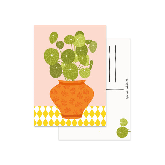 Kaart pannenkoek plant
