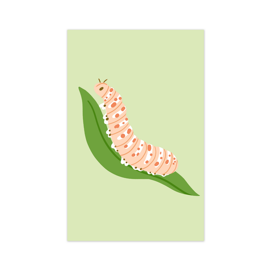Mini card illustration caterpillar
