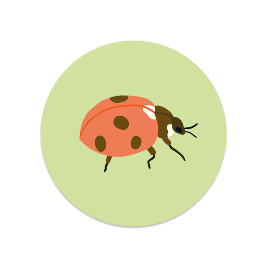 Round sticker ladybug
