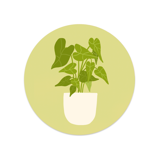 Ronde sticker plant groen